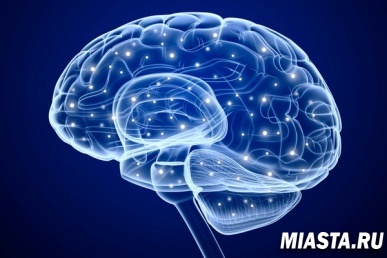 Исследование: мозг иногда перегружает себя лишней работой