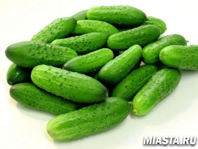 Если сегодня лягушки расквакаются, то огурцы уродятся