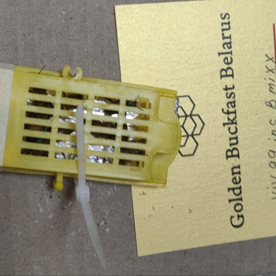 Пчеловодам Тюменской области почтой доставили первых  пчёл