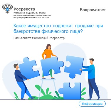 Тюменский Росреестр: об имуществе при банкротстве
